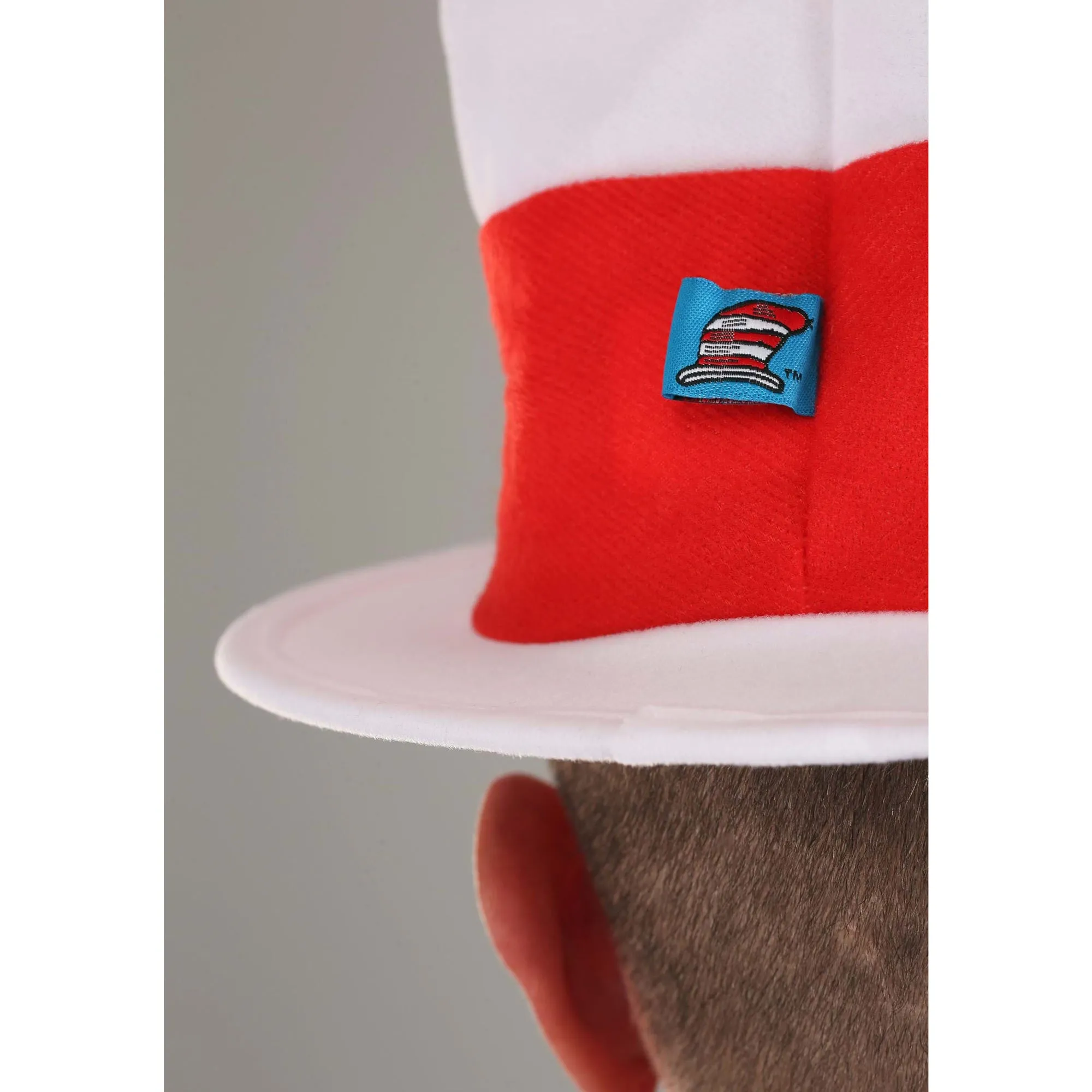 Adult Hat Dr. Seuss Cat in the Hat