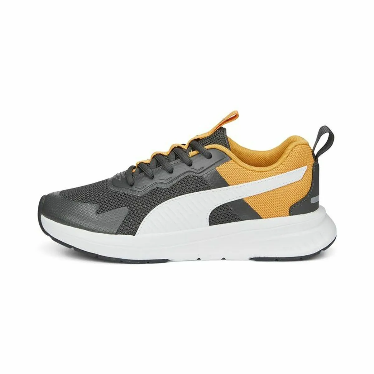 Sports Shoes for Kids Puma Evolve Run Mesh Black